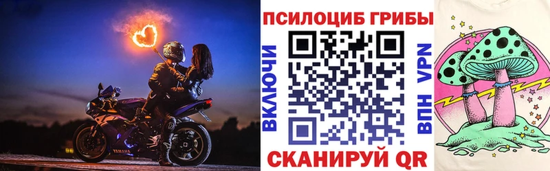 Купить где  Никольск  Галлюциногенные грибы Cubensis 